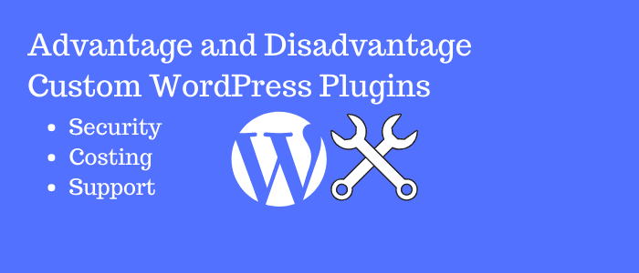 Custom WordPress Plugins